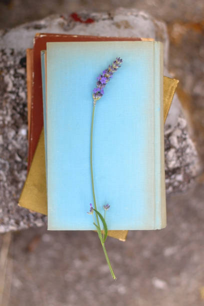 istock Vintage Books and Lavender Flower 1327829446