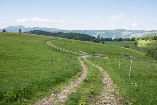 istock landscape in europe 1327830946