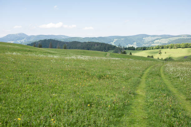 istock landscape in europe 1327831110