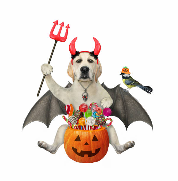 istock Dog labrador with bat wings and trident 1327832492