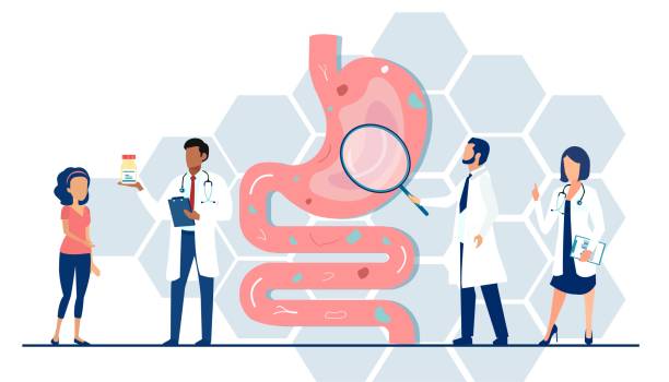 Vector of a medical team examining gastrointestinal tract and digestive system giving advice to a patient Vector of a medical team doctors examining gastrointestinal tract and digestive system giving advice to a patient human digestive system illustrations stock illustrations