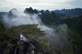 provinz-phang-nga-thailand.jpg?b=1&s=170x170&k=20&c=4RpzdiNv_g2jATMxTeQoJbwZ6S3E6oKsLcTAHpGr0HA=