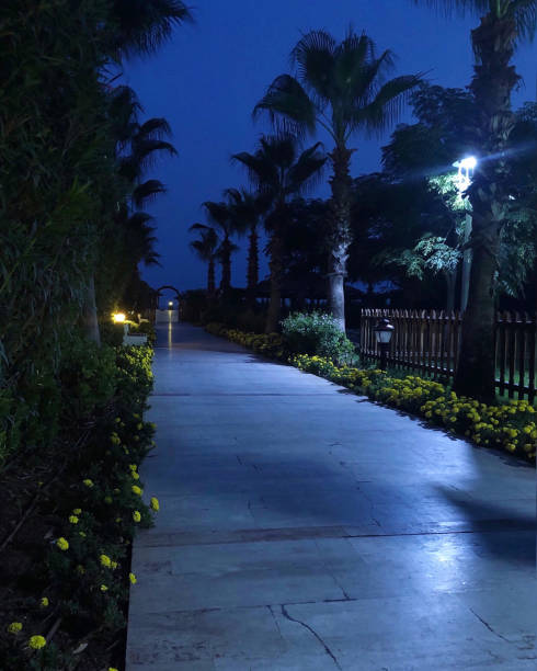 istock beautiful summer night landscape 1327834684