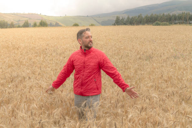 young male hand touching and feeling free over a golden yellow wheat field in a cloudy day at ecuadorian highlands. - wheat freedom abundance human hand imagens e fotografias de stock