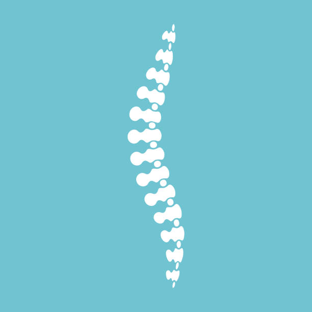 illustrazioni stock, clip art, cartoni animati e icone di tendenza di simbolo di diagnosi e trattamento delle malattie della schiena. - ortopedico