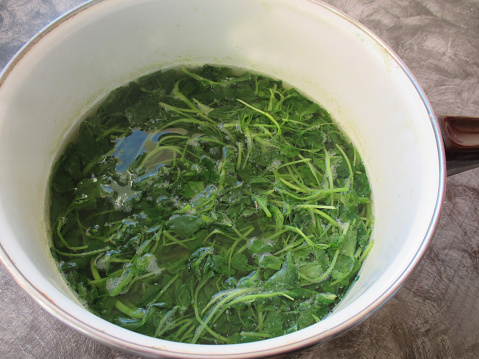 Watercress Raw food Preparation for making a soup