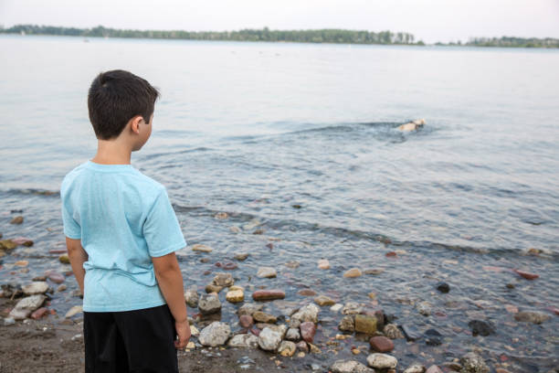 istock Boy and dog playing by the water 1327842716