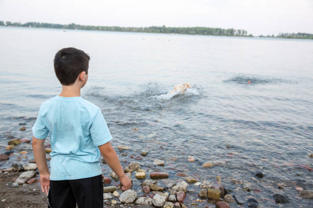 istock Boy and dog playing by the water 1327842734