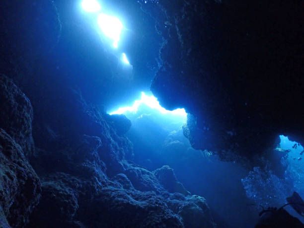 istock Scuba diving, Kerama Okinawa 1327847677