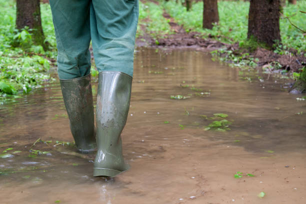 istock After the heavy rain in the forest. 1327847957