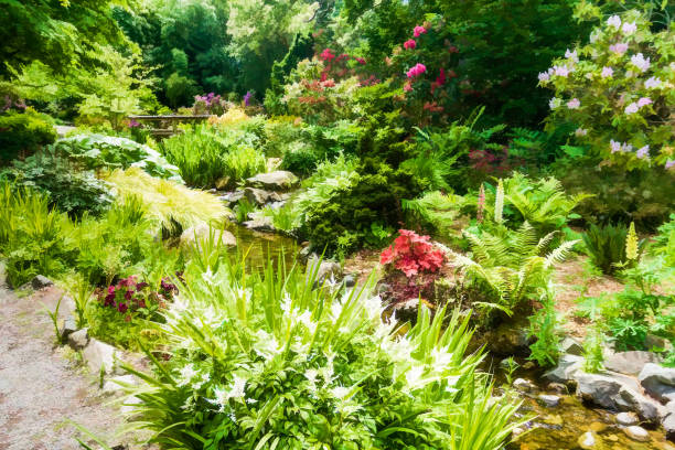 istock Varietal Flower Garden Illustration 1327850090