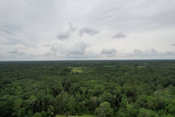 istock Overcast day full of rain clouds 1327850564