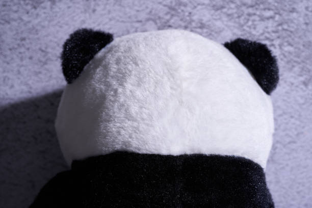 istock close up  rear view of panda soft toy 1327851776