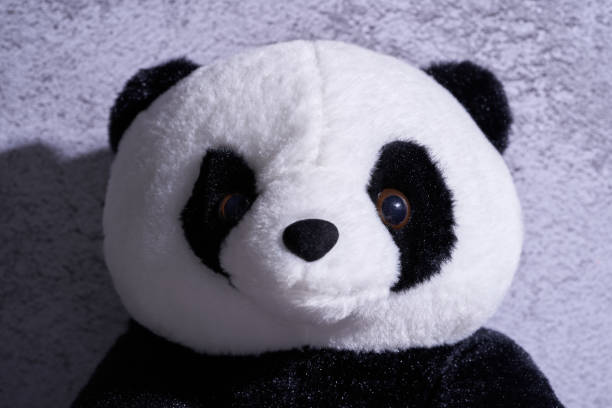 istock close up of panda soft toy front view 1327851903