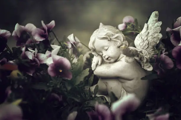 Photo of Guardian angel and spring flowers