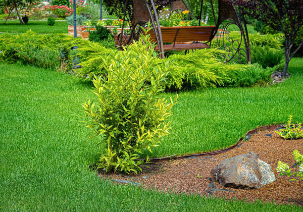 Lawn with bushes, flowers and bench in summer park.