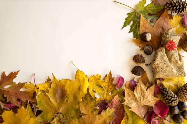 istock Autumn composition with leaves on a white background and empty space for text 1327856674