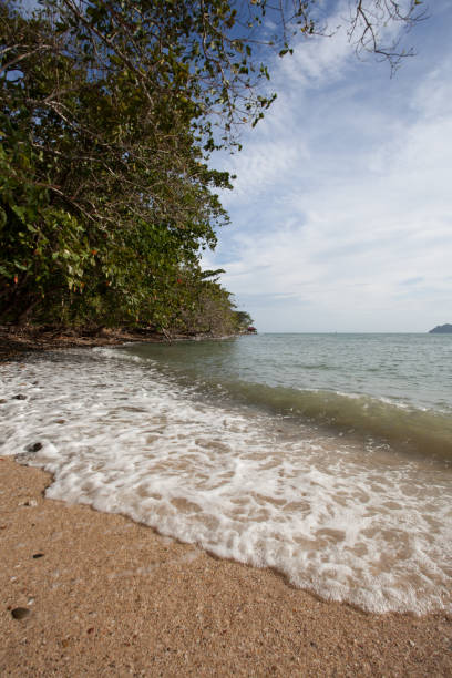 jour de plage sur pulau jemurok près de langkawi en malaisie - 7653 photos et images de collection