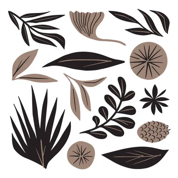 Vector illustration of Illustration set of plant leaves and stems — hand-drawn vector elements
