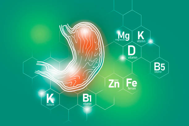 illustrazioni stock, clip art, cartoni animati e icone di tendenza di nutrienti essenziali per la salute dello stomaco tra cui zinco, kalium, vitamina b5, ferrum. - vitamin d vitamin b1 vitamin pill nutritional supplement