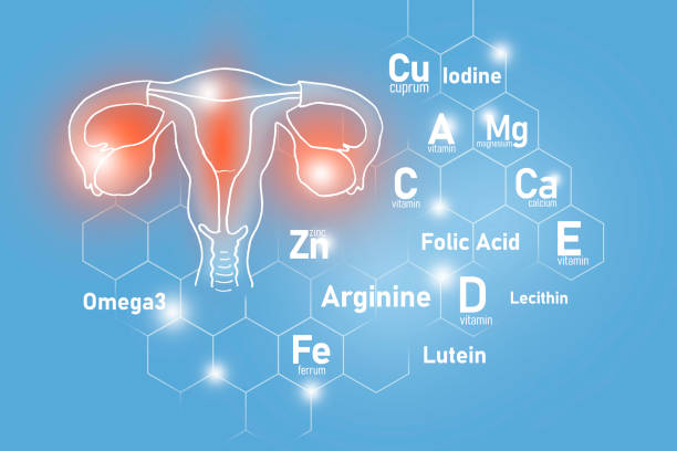 istock Essential nutrients for Uterus health including Omega 3, Arginine, Lutein, Lecithin. 1327868761