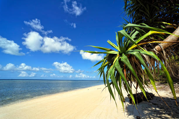 istock A beautiful place to spend a relaxing holiday 1327881580
