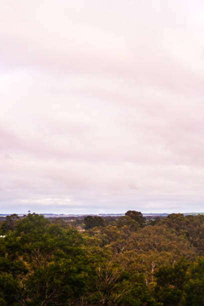 istock Inverleigh, Victoria, Australia 1327887314