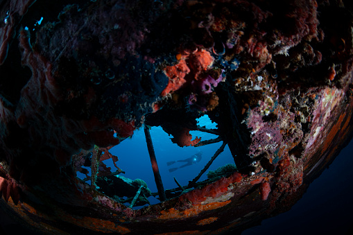 Image with a female diver and the navy floatplane broken wing, an Aichi E13A1-1 or Jake type reconnaissance seaplane. It's one of the most intact wrecks in Micronesia, resting at 45 feet (15m) in Koror, Palau - Micronesia