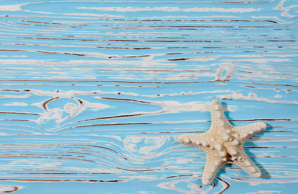 istock starfish on a blue wooden background, place under the text 1327892568
