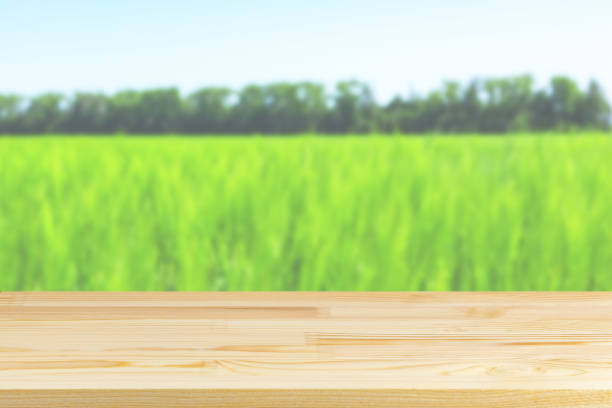 istock wood table top on blurred field background with grass 1327893236