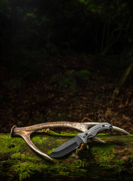 istock A Bushcraft/Survival knife on mossy tree with Deer antler 1327895571