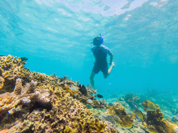 istock Man snorkeling underwater on a reef with soft coral and tropical fish 1327896319