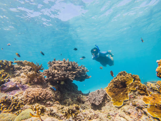 istock Man snorkeling underwater on a reef with soft coral and tropical fish 1327896329