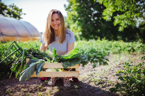istock Know where your food comes from 1327896762