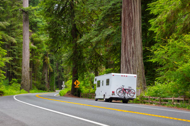 istock RV Camping California redwoods. 1327901065