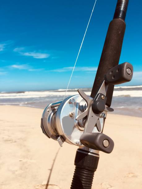 Fishing pole on coastal surf fishing