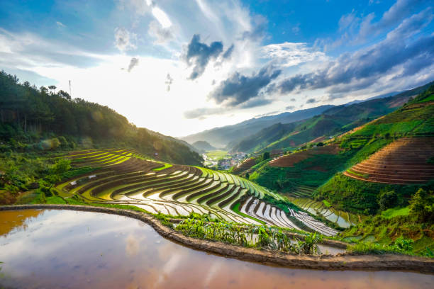 istock Nice rice terrace with water in Mu Cang Chai Vietnam 1327906736