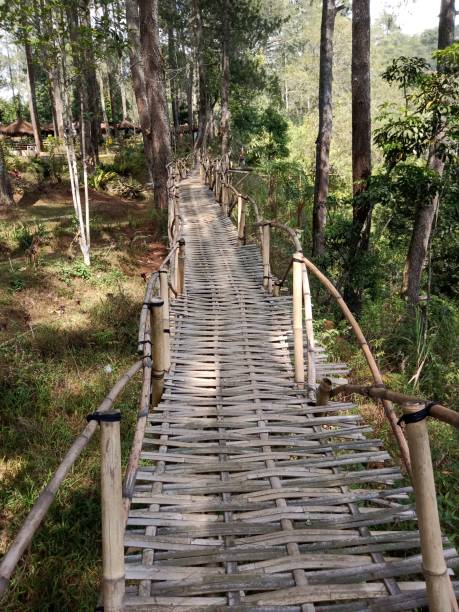 istock Straight bridge made of bamboo wood 1327908672