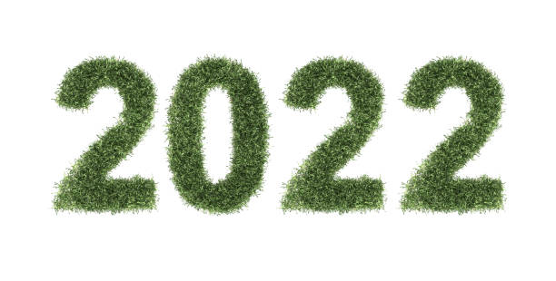 istock New Year 2022 Creative Design Concept with grass 1327926889