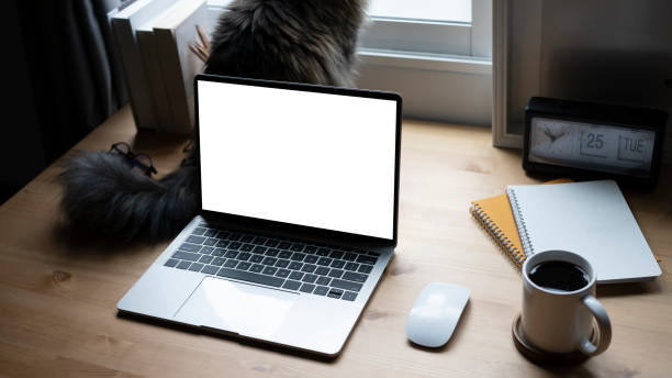istock Mock up laptop computer and cat on wooden table. 1327929068