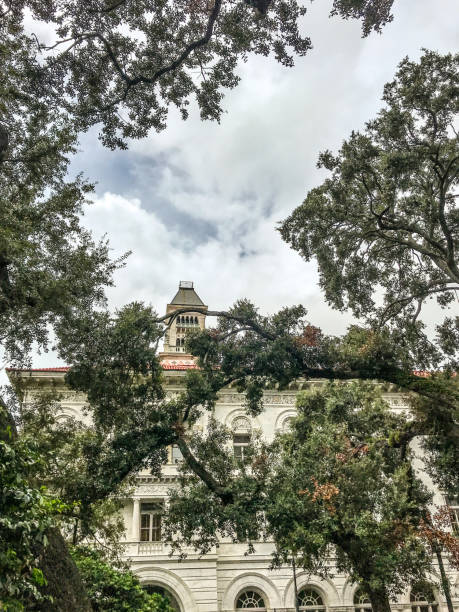 istock Trees of Savannah Georgia 1327930810