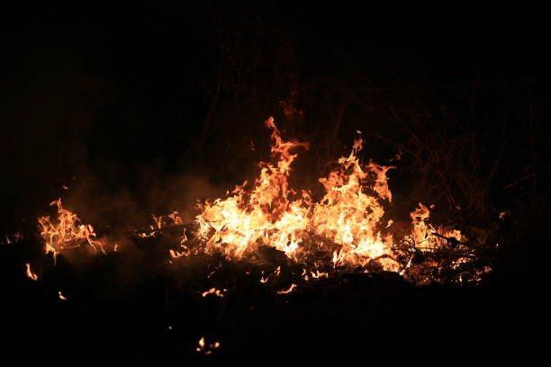 istock Fire flames burning dry grass on dark background. 1327931829