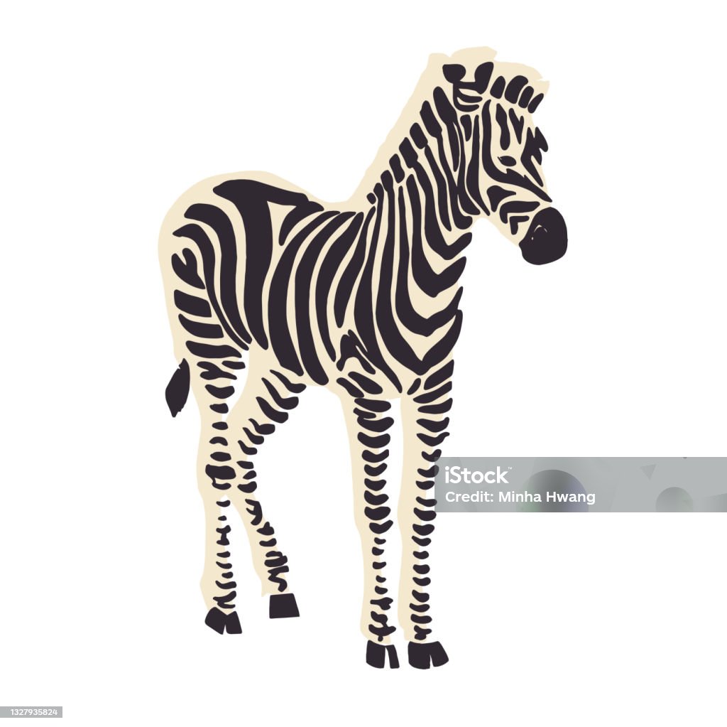 Zebra Animal Illustration Graphic Resource Stock Illustration - Download  Image Now - Zebra, Illustration, Abstract - iStock