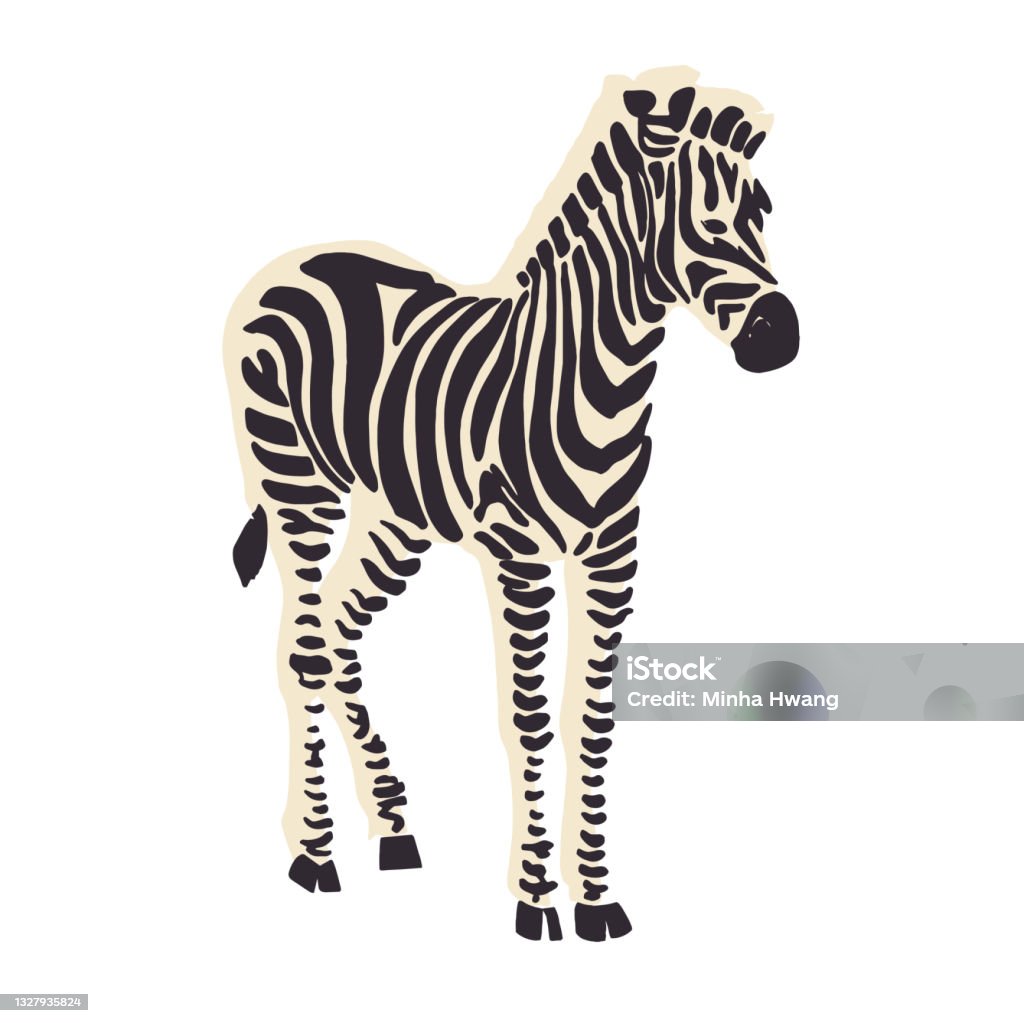 Zebra Animal Illustration Graphic Resource Stock Illustration - Download Image Now - Zebra, Illustration, Abstract - iStock Zebra Animal Illustration Graphic Resource Stock Illustration - Download Image Now - Zebra, Illustration, Abstract - iStock