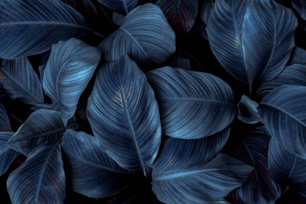 istock tropical leaves, abstract green leaves texture, nature background 1327936017