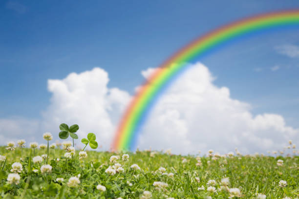 trevo de quatro folhas, arco-íris e céu azul - four leaf clover fotos - fotografias e filmes do acervo