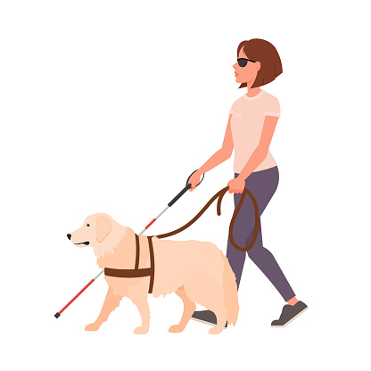 Blind girl walking with a guide dog.