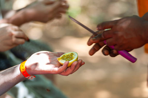 istock Tourists tasting Marakuya or passion fruit, only hands 1327941429