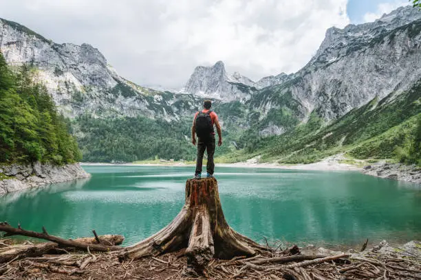 Man traveler standing on tree stump ejoying view of Dachstein peak mountains on a Upper Gosau Lake. Gosau, Salzkammergut, Austria, Europe.