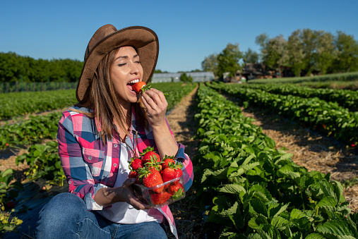 Young farmer crouching in strawberry field biting on fruit. Woman eating ripe fruit outdoors.